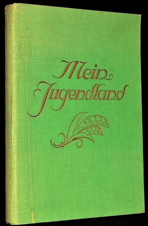 Seller image for Mein Jugendland. Das Buch meiner Kindheit und Jugend. for sale by Altstadt-Antiquariat Nowicki-Hecht UG