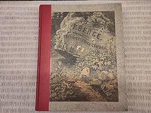 Berge's Schmetterlings-Buch. Bearbeitet von H. v. Heinemann. Neu durchgesehen und ergänzt von W. ...