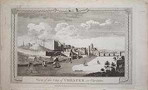 Seller image for Cheshire. Chester City for sale by theoldmapman