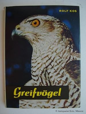 Von Greifvögeln und Eulen.