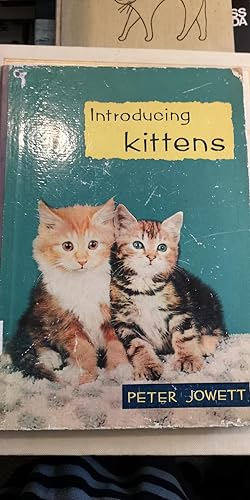 Imagen del vendedor de Introducing Kittens a la venta por SGOIS