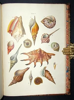 Seller image for An Introduction to the Study of Conchology: Including Observations on the Linnaean Genera, and on the Arrangement of M. Lamarck; a Glossary, and a Table of English Names. for sale by Forest Books, ABA-ILAB