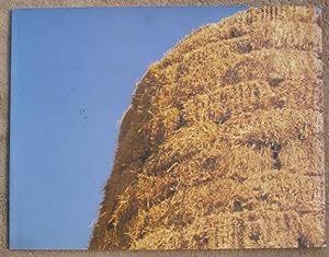 Jerry Pethick: Straw Tower. May 5 - July 31, 1998.