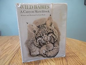 Wild Babies: A Canyon Sketchbook