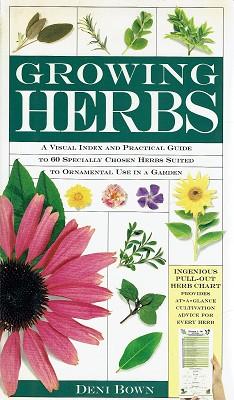 Herb Finders: Growing Herbs