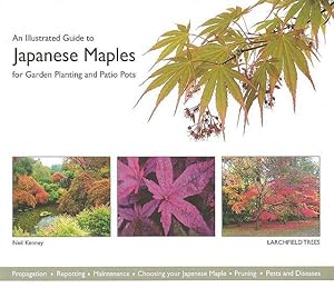 An Illustrated Guide to Japanese Maples. For Garden Planting and Pots.