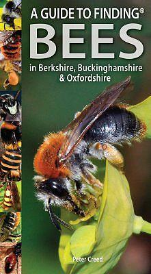 A Guide to Finding Bees. In Berkshire, Buckinghamshire & Oxfordshire.