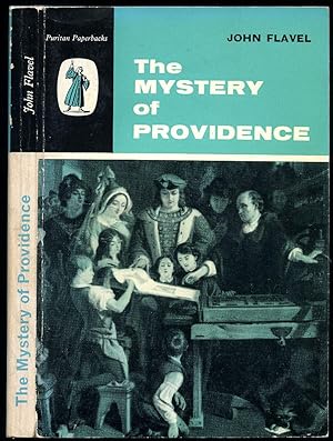 Immagine del venditore per Mystery of Providence (Puritan Paperbacks Series) venduto da Little Stour Books PBFA Member