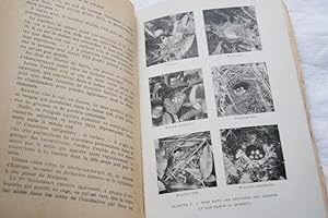 Seller image for LE NID DE L'OISEAU-MOEURS ET THEORIE MECANIQUE DES INSTINCTS for sale by Librairie RAIMOND