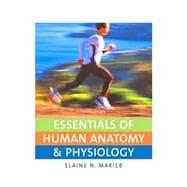 Seller image for Essentials of Human Anatomy and Physiology for sale by eCampus