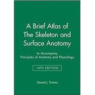 Image du vendeur pour A Brief Atlas of the Skeleton and Surface Anatomy mis en vente par eCampus