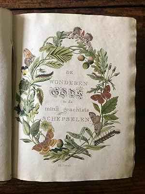 Beschouwing der wonderen Gods, in de minstgeachtste schepzelen of Nederlandsche insecten (Vol. II)