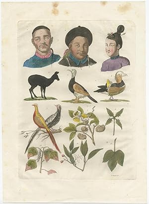Antique Print of Chinese People, Birds and Plants (c.1830)