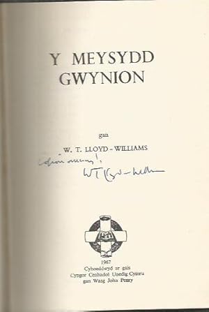 Y Meysydd Gwynion