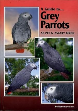 A Guide to Grey Parrots : As Pet and Aviary Birds
