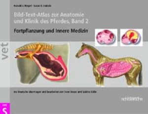 Bild des Verkufers fr Bild-Text-Atlas zur Anatomie und Klinik des Pferdes. Bd.2 : Fortpflanzung und Innere Medizin. bertr. u. bearb. v. Seven Reese u. Sabine Klle zum Verkauf von AHA-BUCH GmbH