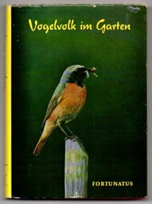 Vogelvolk im Garten.