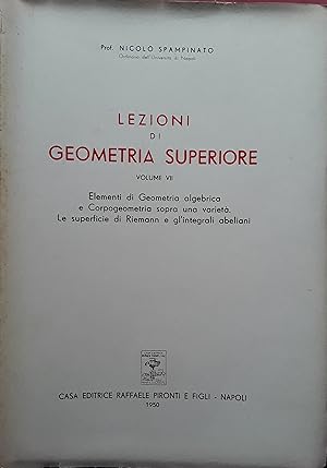 Lezioni di geometria superiore. Volume VII