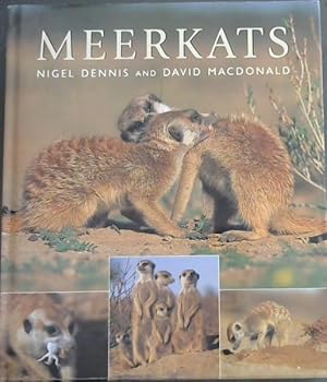 Seller image for Meerkats for sale by Chapter 1