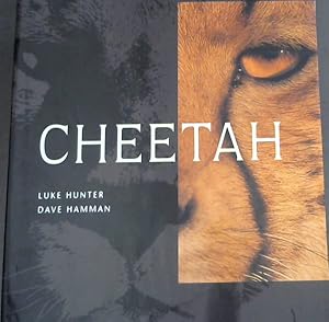 Bild des Verk�ufers f�r Cheetah zum Verkauf von Chapter 1