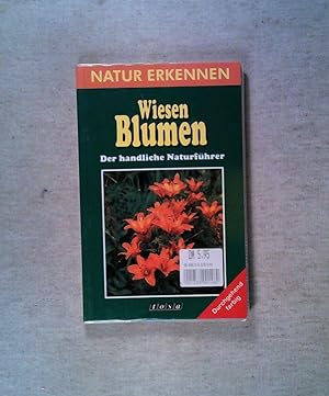 Seller image for Natur erkennen, Natur bestimmen, Wiesenblumen for sale by ANTIQUARIAT Franke BRUDDENBOOKS