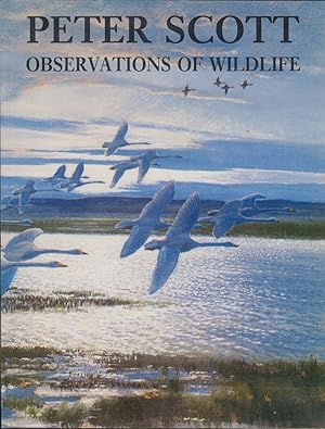 Seller image for OBSERVATIONS OF WILDLIFE. By Peter Scott. for sale by Coch-y-Bonddu Books Ltd