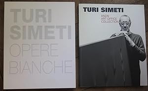 Turi Simeti. Opere bianche.