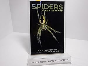 Spiders in New Zealand