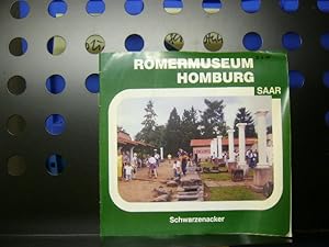 Römermuseum Homburg Saar