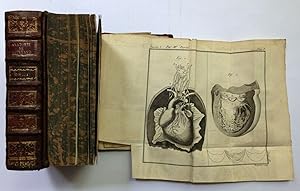 Anatomie Historique et pratique: Par M. Lieutaud. Nouvelle Edition, Augmentée De Diverses Remarqu...