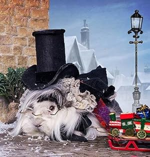 Image du vendeur pour Guinea Pig Christmas Carol mis en vente par GreatBookPrices