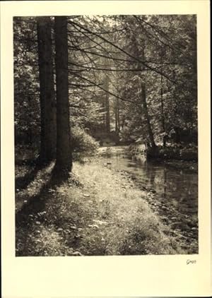 Ansichtskarte / Postkarte Waldpartie, Bach, Groh 3331