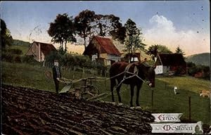 Ansichtskarte / Postkarte Westfalen, Feldarbeit mit dem Pferdepflug, Gehöft, Westfalenlied