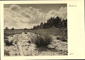 Ansichtskarte / Postkarte Heideweg, Groh 2848