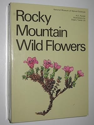 Rocky Mountain Wild Flowers