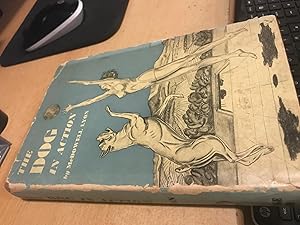 Imagen del vendedor de The Dog in Action : a Study of Anatomy and Locomotion as applying to All Breeds a la venta por Cotswold Rare Books