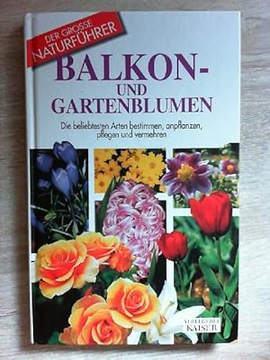 Balkon- und Gartenblumen: Die beliebtesten Arten bestimmen, anpflanzen, pflegen und vermehren