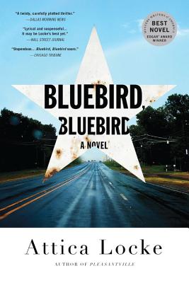 Immagine del venditore per Bluebird, Bluebird (Paperback or Softback) venduto da BargainBookStores