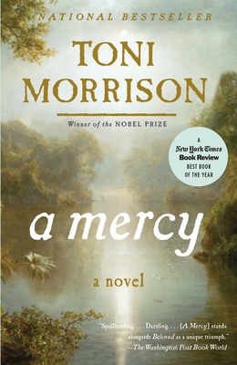 Seller image for A Mercy (Paperback or Softback) for sale by BargainBookStores