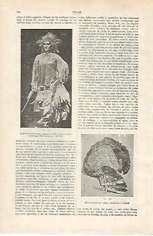 Imagen del vendedor de LAMINA ESPASA 28819: Traje de un jefe Lipan muerto en 1831 a la venta por EL BOLETIN