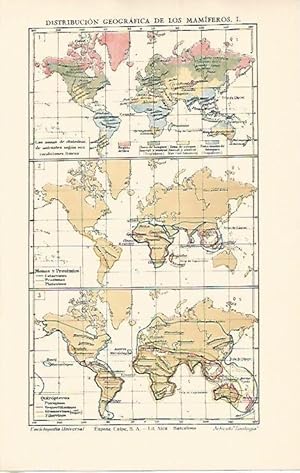 Bild des Verkufers fr LAMINA ESPASA 1668: Mapas mundiales de la distribucion geografica de los mamiferos zum Verkauf von EL BOLETIN