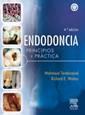 Seller image for Endodoncia. Principios y prctica for sale by Vuestros Libros