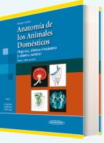 Imagen del vendedor de Anatoma de los Animales Domsticos a la venta por Vuestros Libros