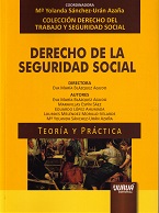 Bild des Verkufers fr DERECHO DE LA SEGURIDAD SOCIAL 2017 zum Verkauf von Vuestros Libros