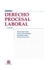 Image du vendeur pour Derecho Procesal Laboral mis en vente par AG Library