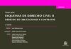 Tomo XXXV Esquemas de Derecho Civil II Derecho de Obligaciones y Contratos 2ª Edición 2016