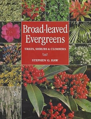 Broad-Leaved Evergreens: Trees, Shrubs & Climbers