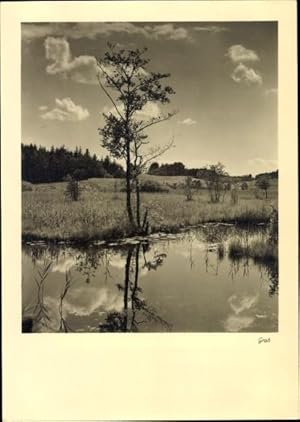 Ansichtskarte / Postkarte Landschaftsblick, Wasserspiegelung, Groh 2197