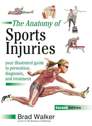 Seller image for Anatomy of Sports Injuries : Your Illustrated Guide to Prevention, Diagnosis, and Treatment for sale by GreatBookPrices