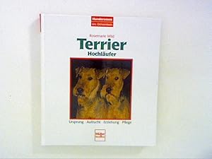 Seller image for Terrier, Hochlufer for sale by ANTIQUARIAT FRDEBUCH Inh.Michael Simon